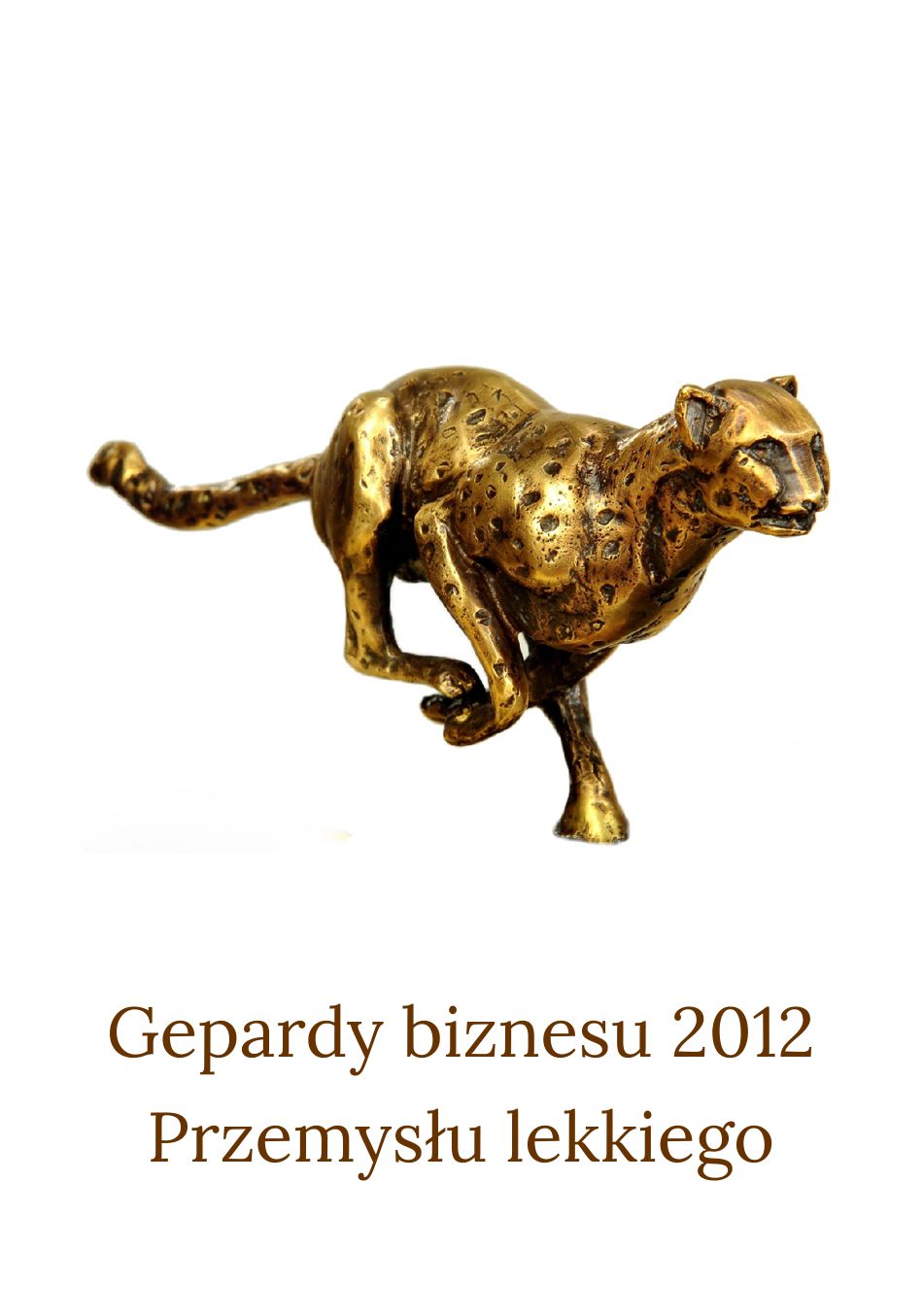 Gepardy Biznesu 2012